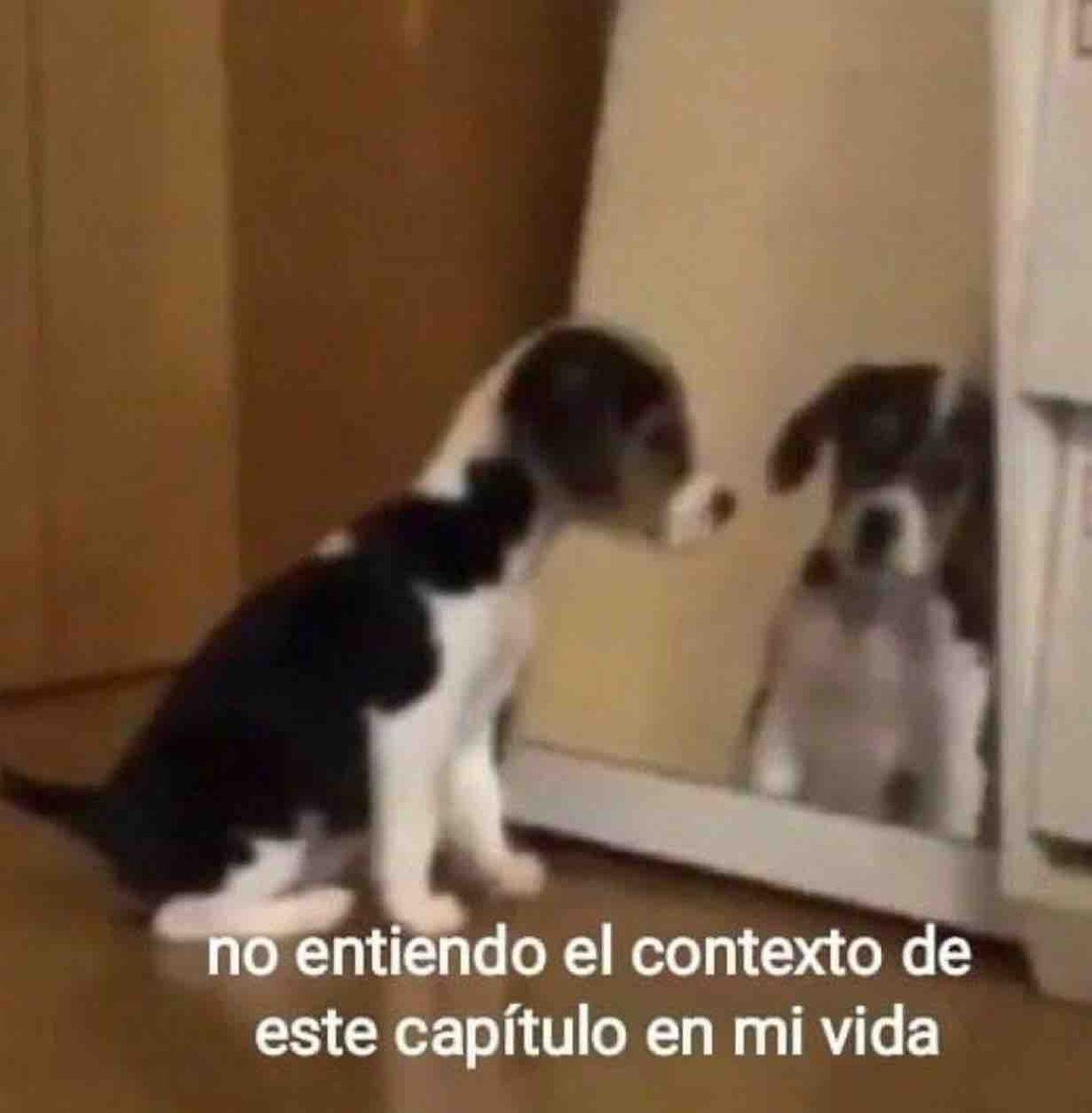Guarromantico_'s tweet photo. No entiendo. https://t.co/y6FrzAQhX1