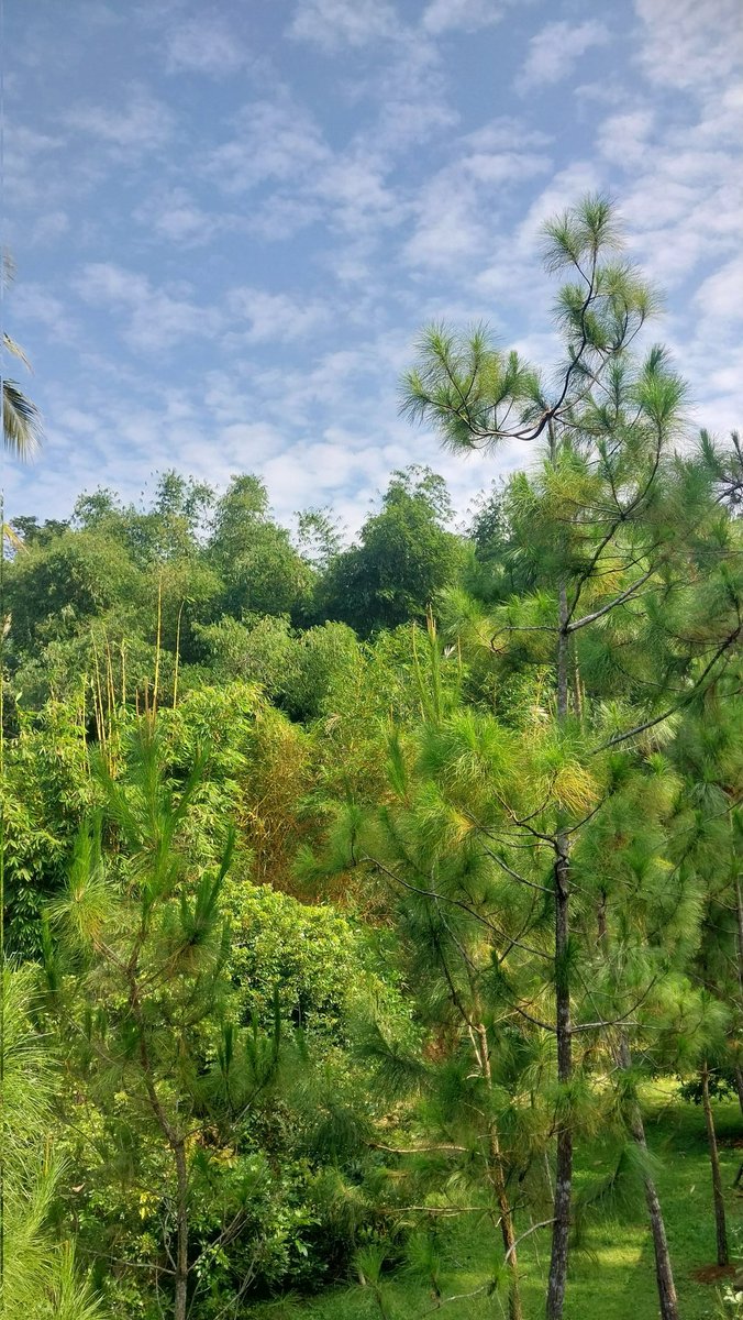 kamiley__'s tweet photo. pulkam 4 hari serasa sehari doang 😫 https://t.co/v6Wu2ZF3Oo
