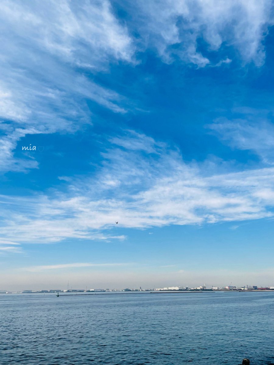 𓂃🫧☁️🫧🩵

 海風が気持ちよい𓂃◌𓈒𓐍