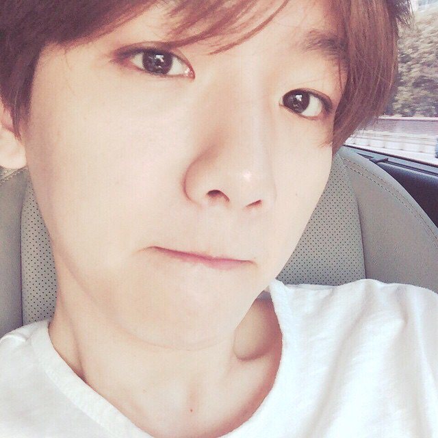 hourly baekhyun 🤍 tweet media