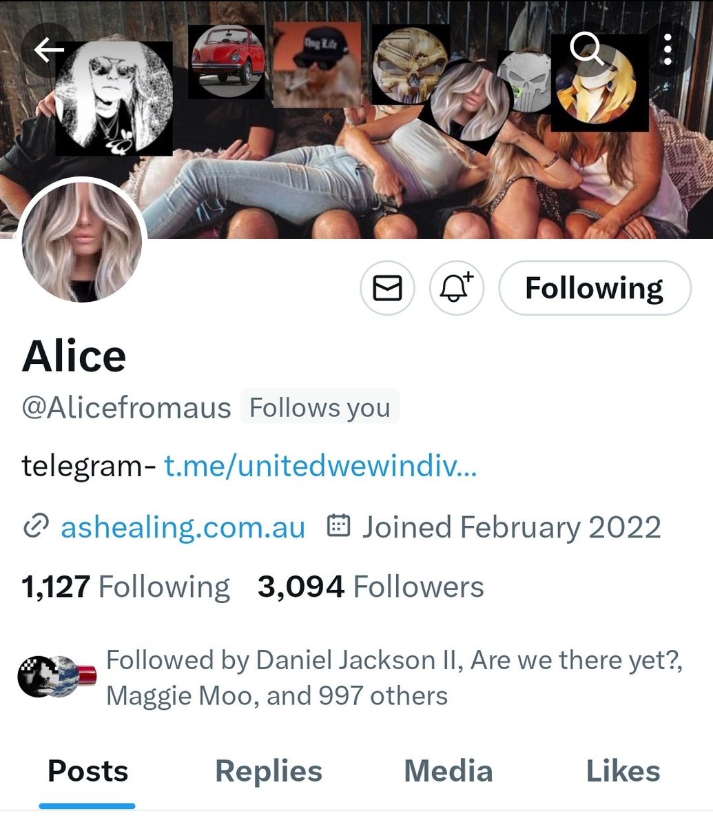 To those who have followed and engaged with Alice I just wanted to let you know she has passed away. Our beautiful friend has her angel wings now. Alice was a gorgeous girl loved by so many and will be deeply missed. Love you sweetness, fly high. Until we meet again. 🩷🩷🩷🩷🩷