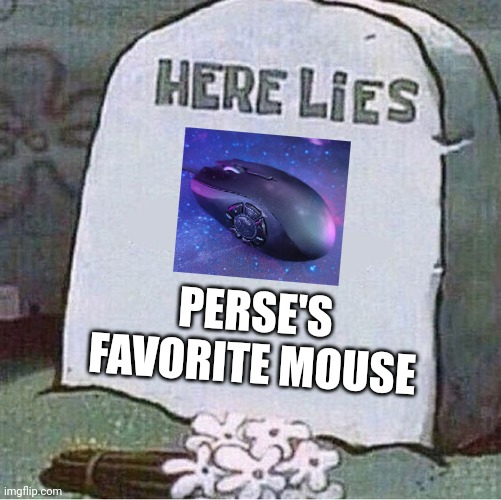 Persephonae 💙 tweet media