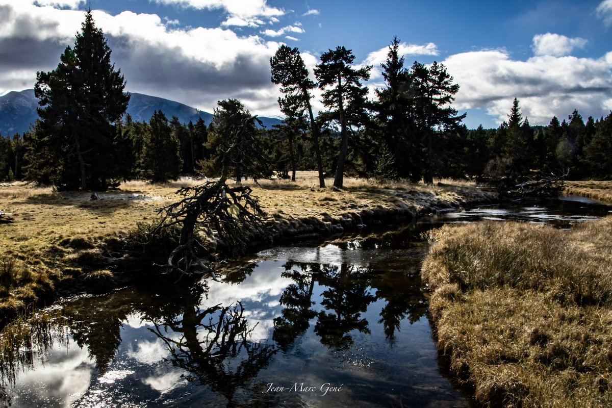 Certaines eaux sombres n’incitent pas à la baignade mais ont des reflets magiques! 

#fonromeu #pyrenees #pyreneesorientales #cerdagne #occitanie #montagne #mountains #foret #forest #nature #paysages #landscape #randonnee #photo #photooftheday #photography #photographie