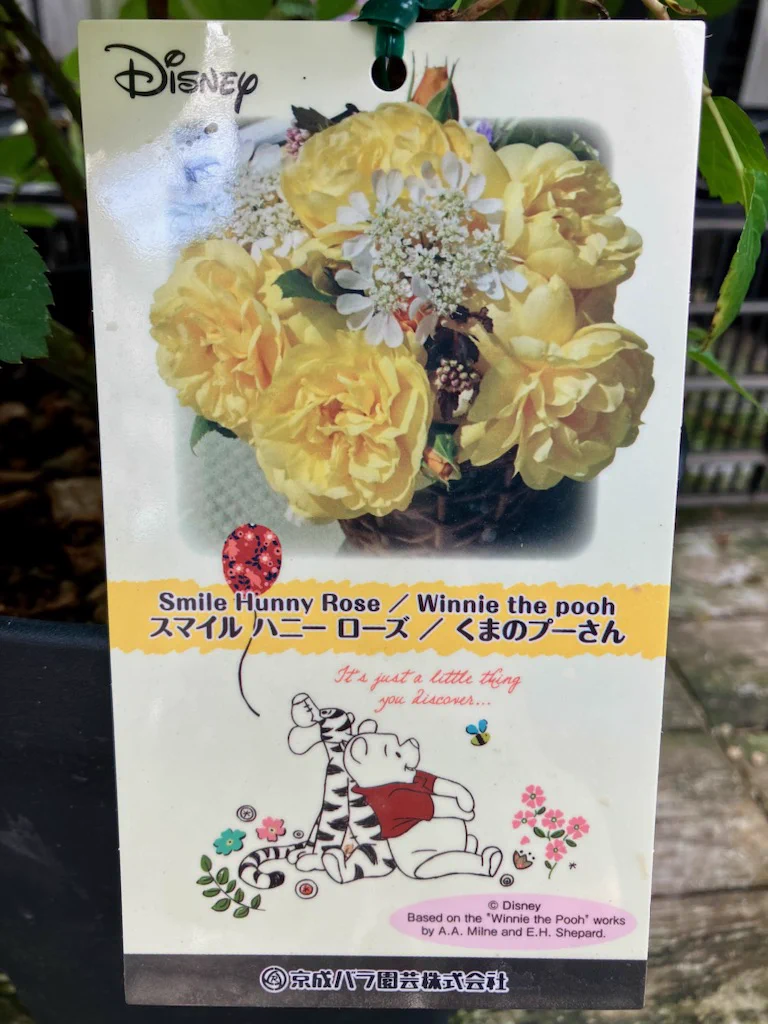 ジョイフル本田 ガーデンセンター on X: 