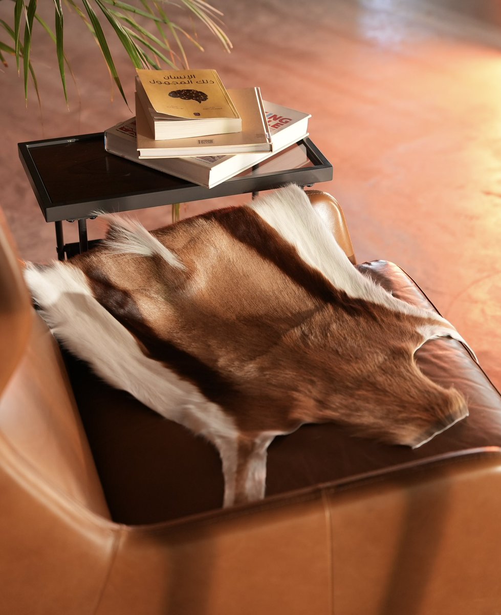 akamah_official's tweet image. #springbuck
#غزال