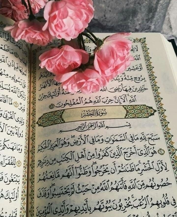 Assalam o Alaikum 🥰 

فَبِأَيِّ آلاءِ رَبِّكُمَا تُكَذ ِبَانِ  ✨💯
 اور تم اپنے پروردگار کی کون کون سی نعمتوں کو جھٹلاؤ گے 💠🌹