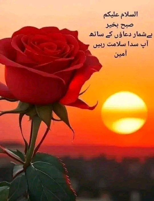السلام علیکم🌻صبح بخیر 🌷
 
 اللّٰه تبارک وتعالیٰ آپکو صحت و تندرستی اور ایمان کی دولت کے ساتھ کسی کا محتاج نہ کرے

 سلامتی کی ڈھیروں دعائیں....آمین
اللہ سب کو خوش رکھے۔۔۔۔۔۔۔ آمین