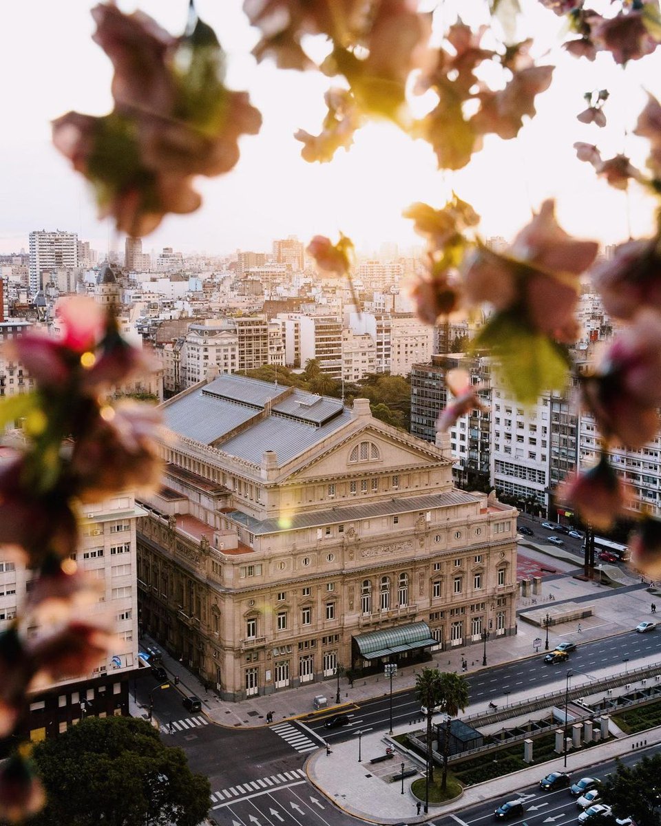 Buenos Aires, Argentina 🇦🇷

The world renowned opera house, Teatro Colón, is famous for its stunning architecture, opulent interiors, exceptional acoustics, and as being one of the largest opera houses in the world with a capacity of nearly 2,500 people.

📸 samhorine