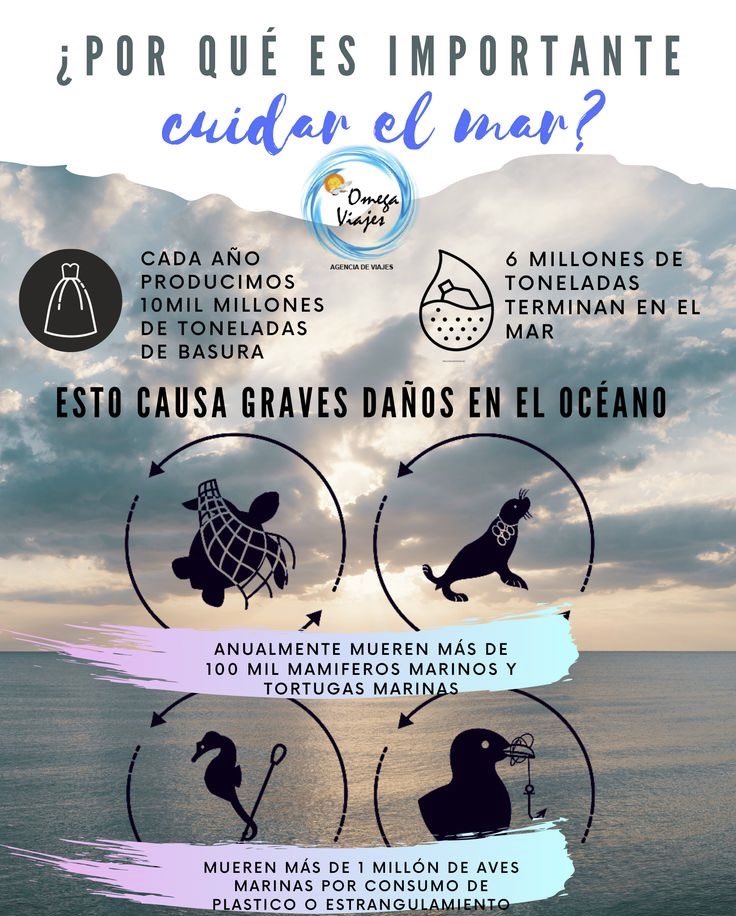 Puerto_limpio.mzt (@puerto_limpio) on Twitter photo 