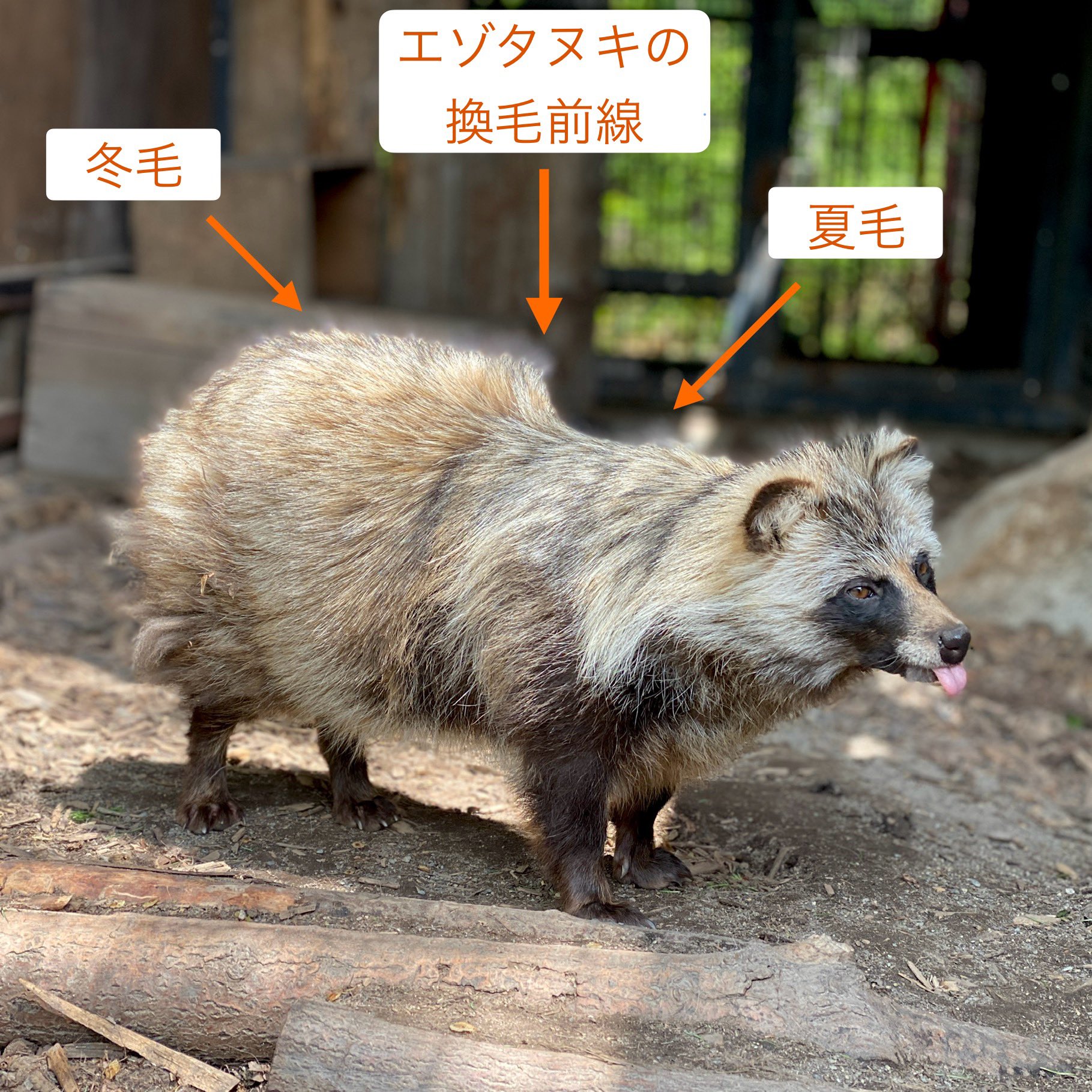 名無しさん@お腹いっぱい (@_128na) / X