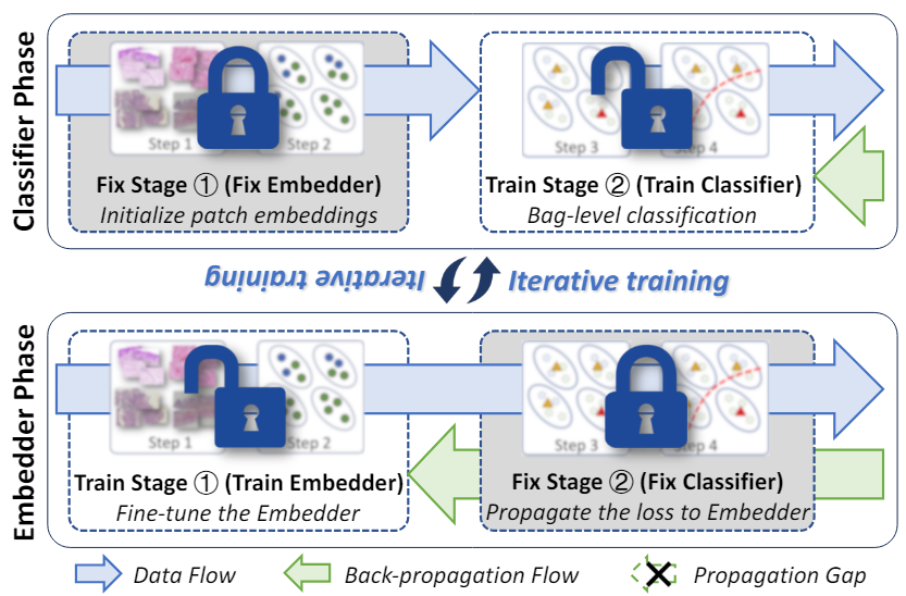 Our paper was accepted in TMI! 🎉 HKUST Smart Lab and Zhejiang University present the ICMIL method, tackling feature extraction challenges in high-resolution pathology images and boosting WSI classification performance.  #ComputationalPathology #AI