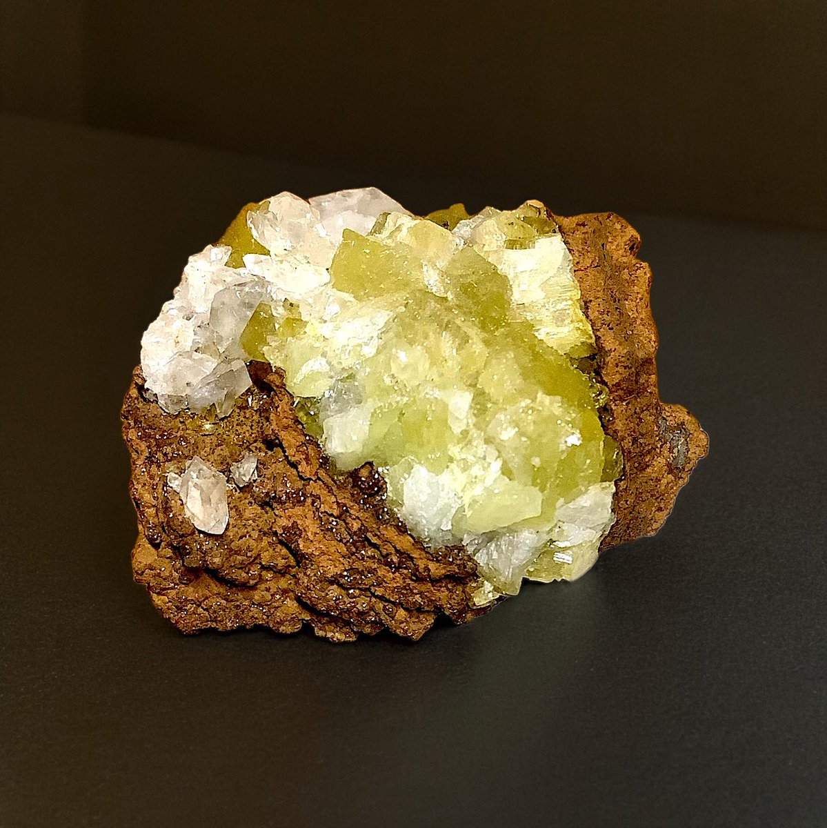 東京エ⊃カッパ🍎π tweet media