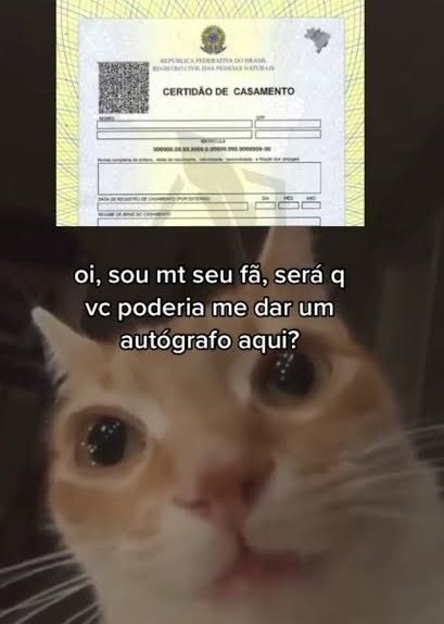 coldeswavy's tweet image. 