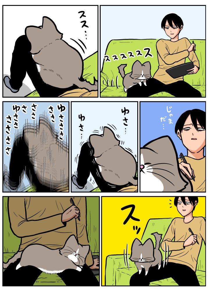 猫は空気読むって聞いたんですけどね 