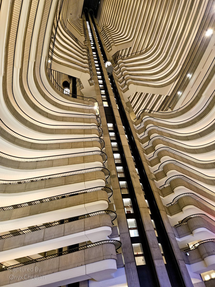 OnyxCheetah's tweet photo. Finally, a few of the hotel/plane pics I took from my weekend at #FWA24 (Part 5 of 5)

#furryweekendatlanta #FWA #planepics #hotelpics https://t.co/PwqWJ8ishu