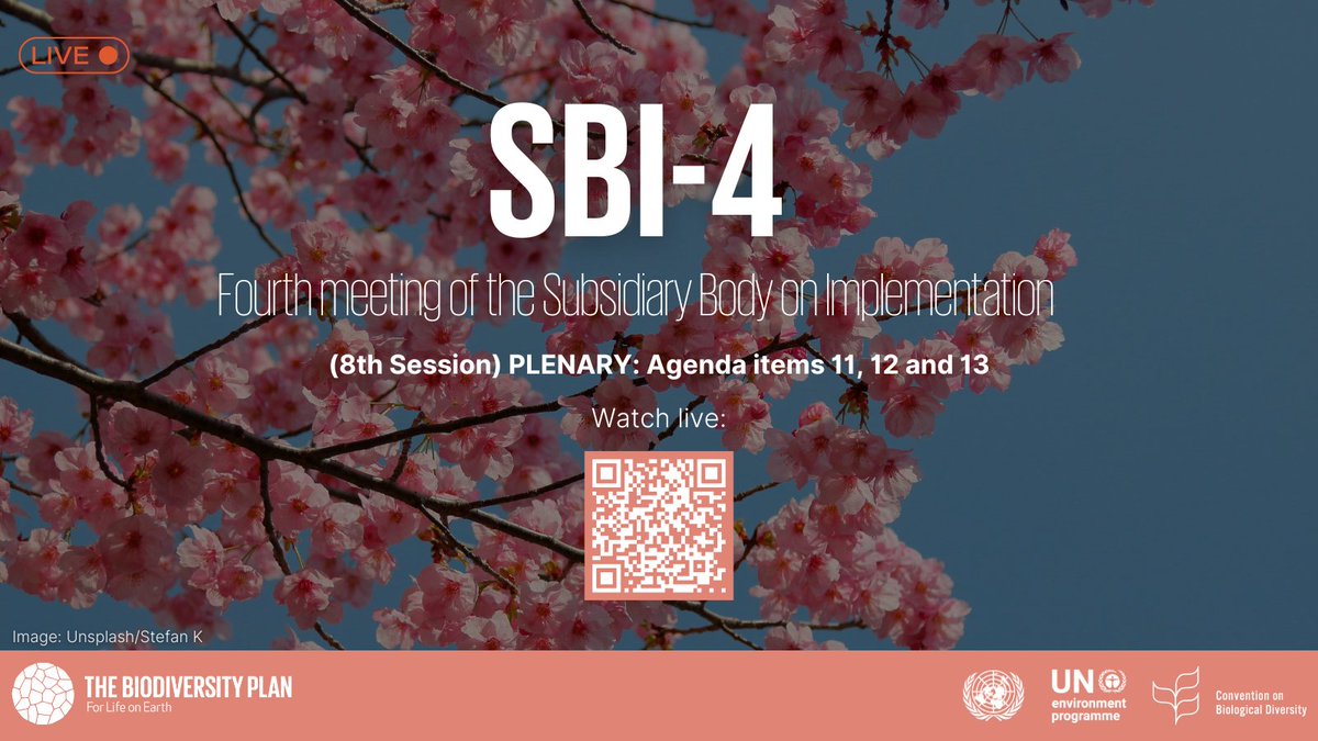 🔴LIVE NOW🔴 📽️Watch the 8th Plenary Session of #SBI4 live from Nairobi: webtv.un.org/en/asset/k1w/k…