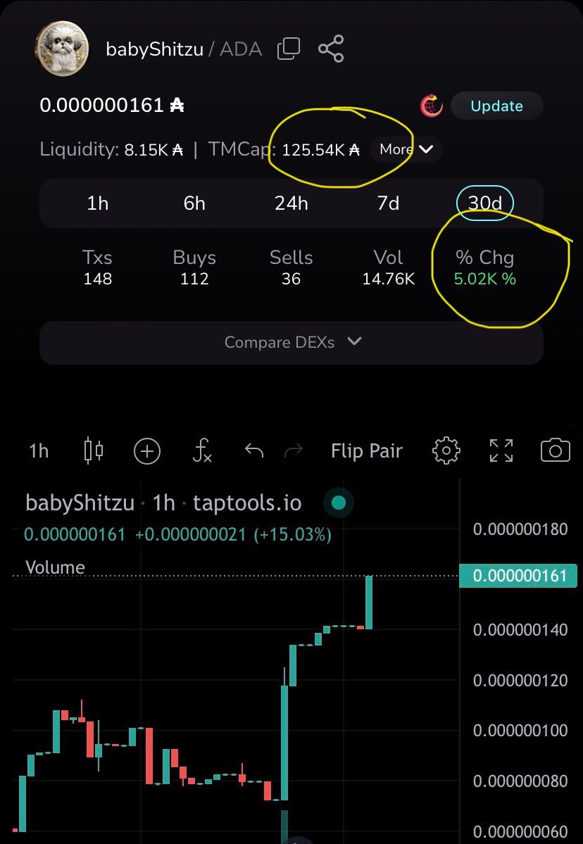 Before going to bed, I opened the chart and woof, 5000% and 125k ADA market cap! 🐾💤 #BabyShitzu #CryptoSuccess #GoodNight'
