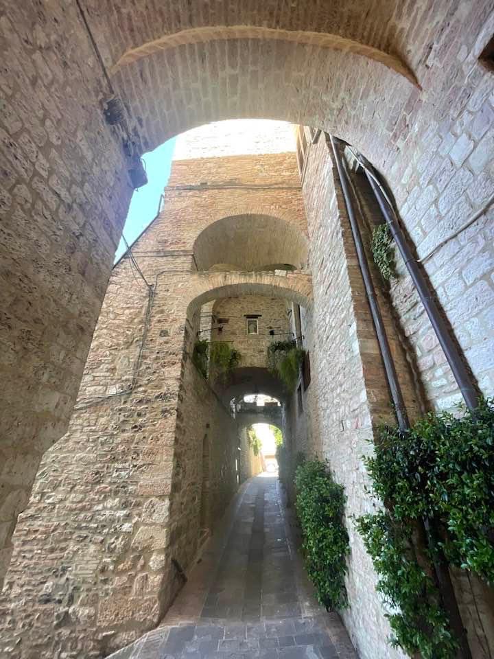 Foto Di Assisi tweet media