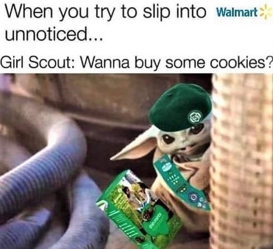 Baby Yoda, it memes FB #humor #babyyoda #grogu
Forget my groceries, I’ll take all the cookies! 💚😂