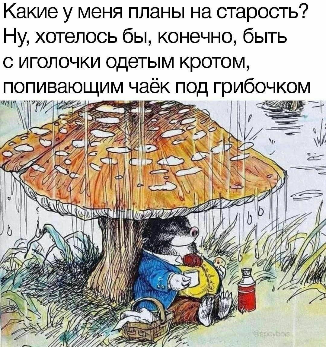 Gribanov's tweet photo. https://t.co/eWelZLDKew