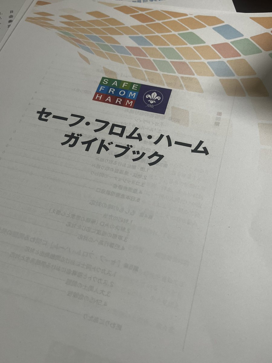 指導者登録する歳になったんですね
#ボーイスカウト