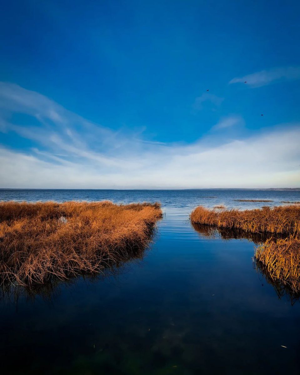 RusEmbTurkey's tweet image. 🌅Günaydın,Türkiye!

💧Pleshcheevo Gölü, #Yaroslavl Bölgesi, #Rusya

📷 marchik60
#Rusyadagezilecekyerler #Rusyayıtanıyalım