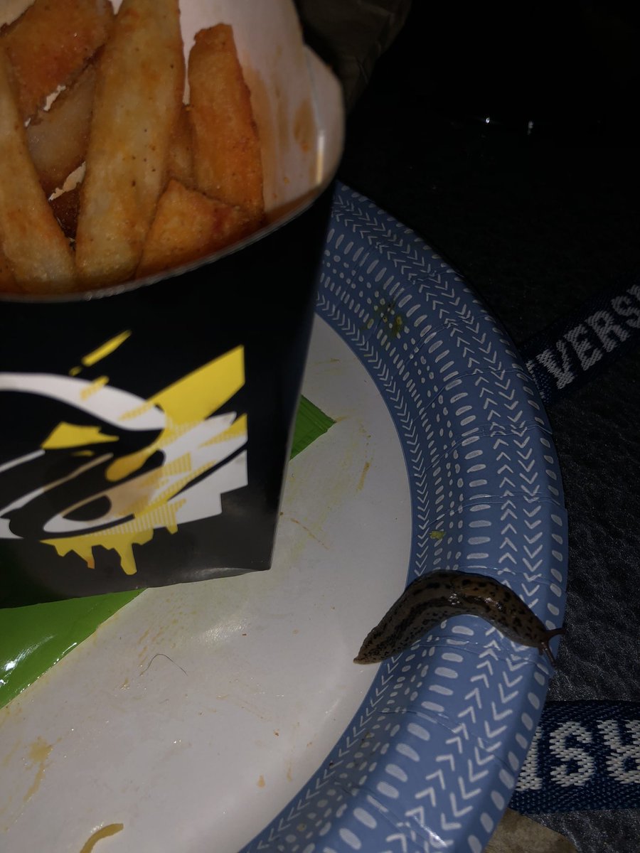 Just found this in my Taco Bell meal…wtf is this @tacobell