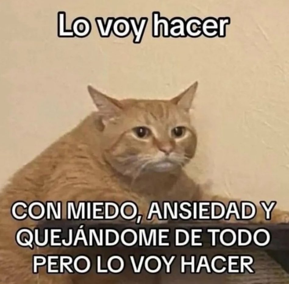 DiloConGatitoz's tweet image. 