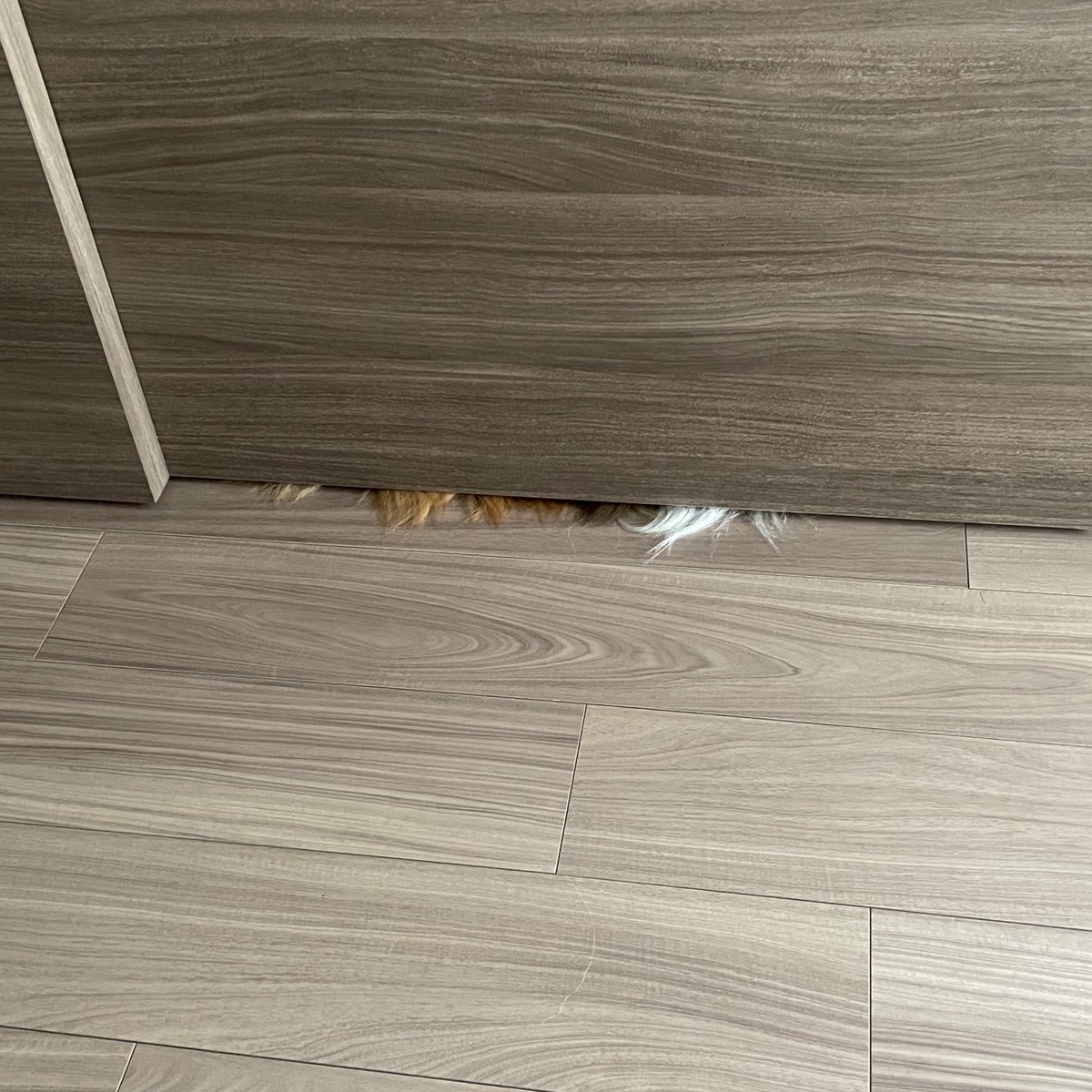 扉の向こうに気配を感じる