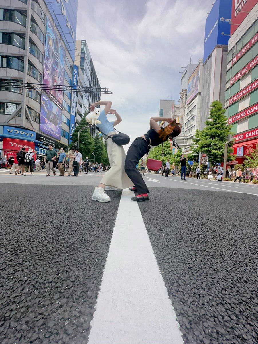 秋葉原🌈🌈🌈