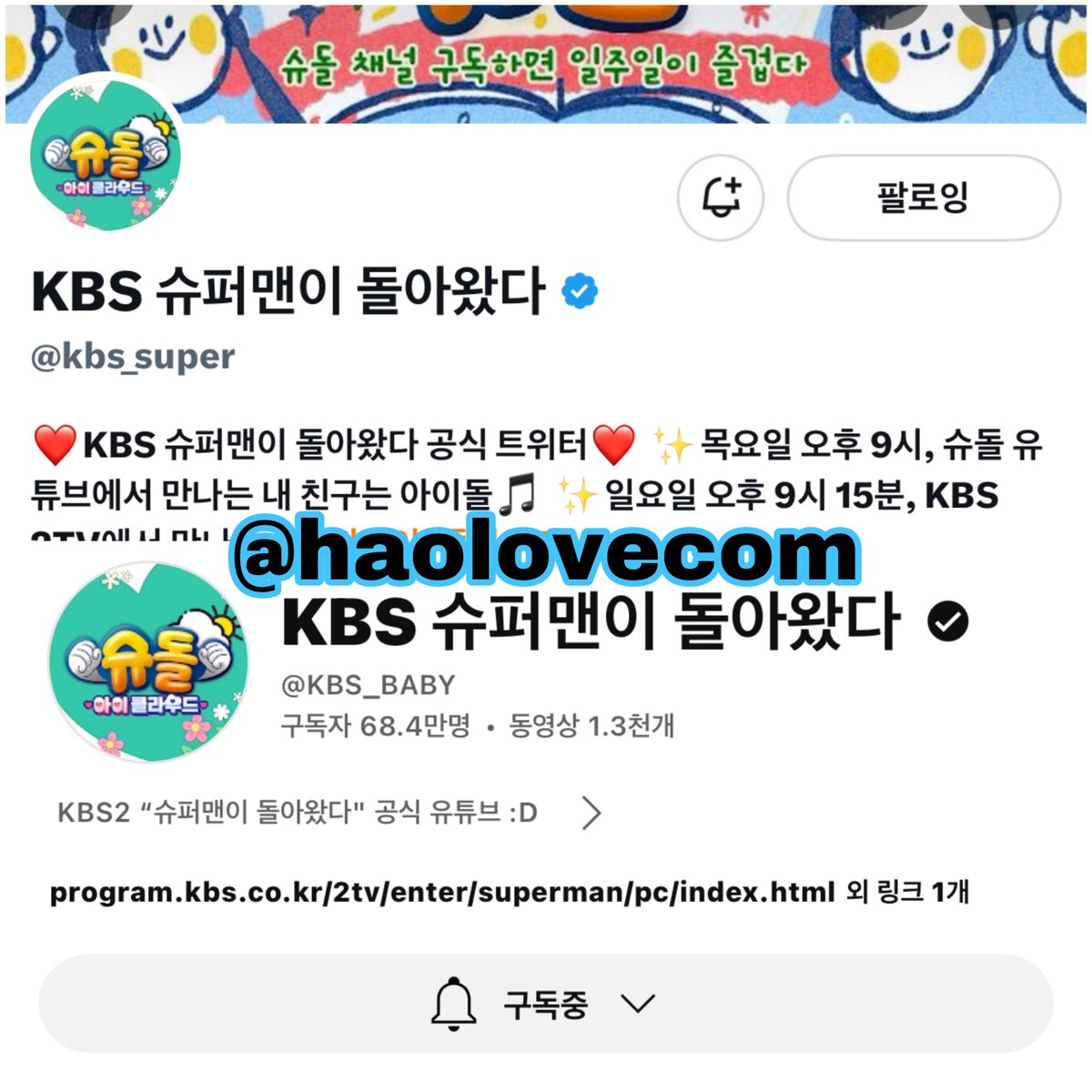 도도 tweet media