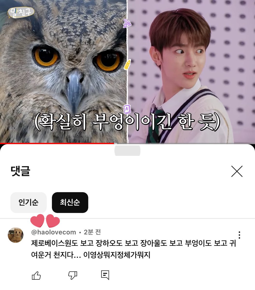 도도 tweet media