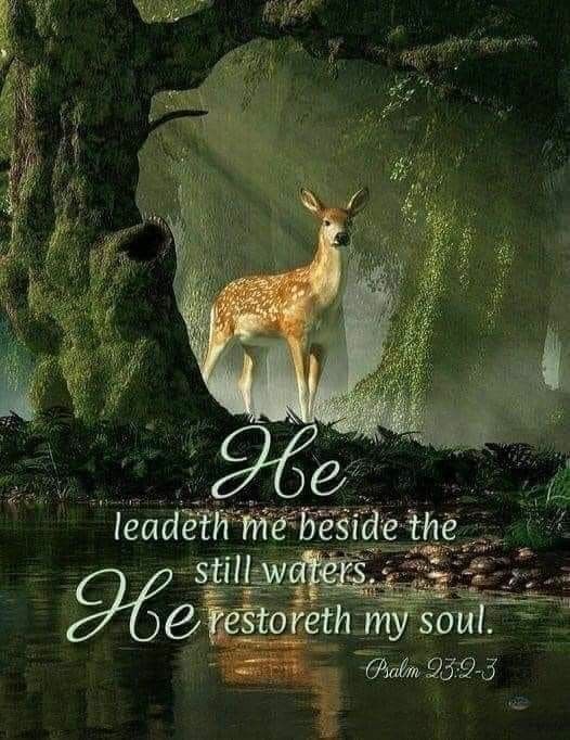 He maketh me to lie down in green pastures: he leadeth me beside the still waters. -Psalm 23:2-3 🌿🕊🙏
