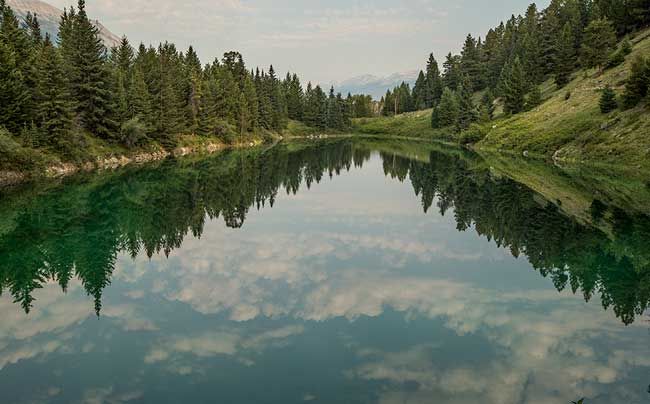 Découvrez cette rando dans la Vallée des 5 lacs, près de #Jasper, dans les Rocheuses canadiennes: c'est une balade facile, apaisante au coeur de la forêt et d'une nature verdoyante
#valléedes5lacs #randonnéeRocheusescanadiennes #randonnéecanada #canada
buff.ly/3R8sRDs