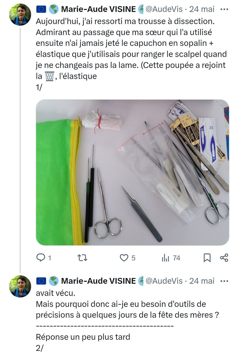 #FêteDesMères
Grâce à @DanyCaulleau, j'ai découvert Olga Prisku et ses inspirantes broderies (2️⃣).
Grâce à ma trousse à dissection (3️⃣) et notamment une précieuse pince Dumont, je me suis essayée à la broderie sur tulle avec des fleurs séchées, en prenant un peu de liberté (1️⃣).