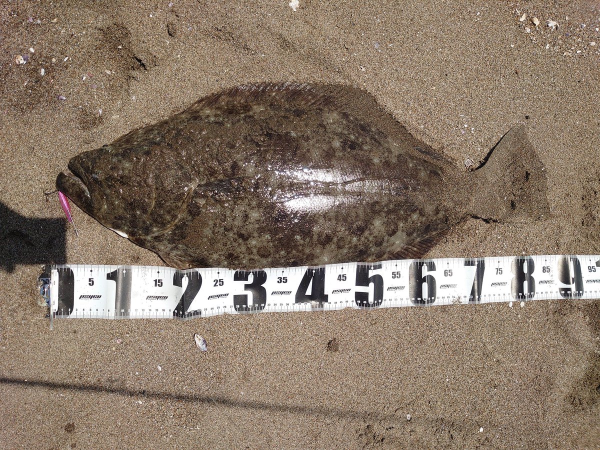 chiaki (@chiaki12345678) / Posts / X