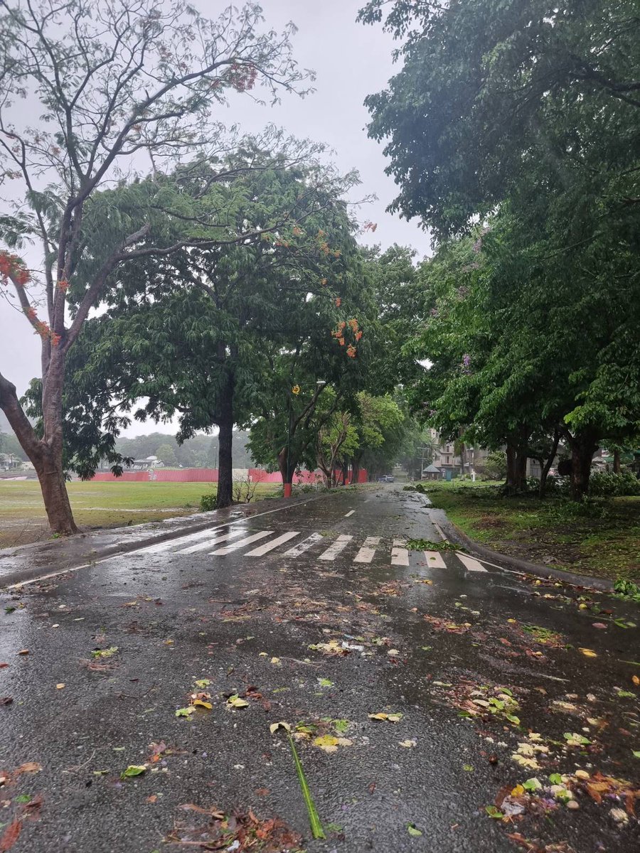 UPLB Perspective tweet media