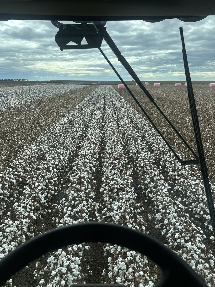 Back at it after 90mm of rain last week, winter crop could be a challenge to get in!