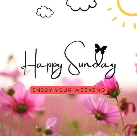 #HappySunday Friends!!!
#Weekend 
#Sunday 
#loksabhaelections2024 
#Phase5
#Rajouri