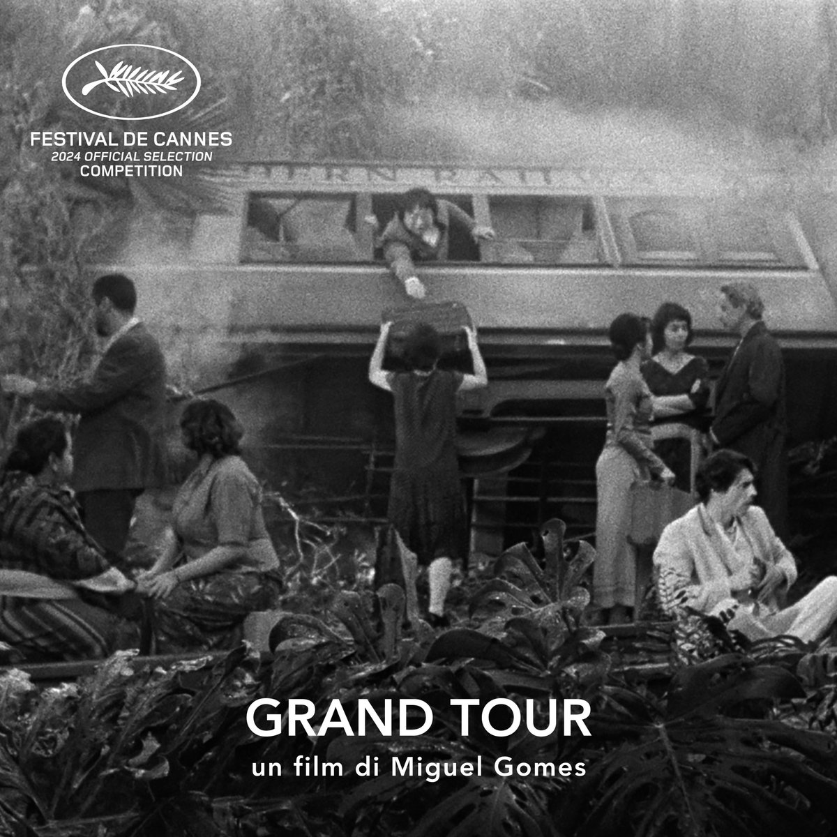 Miguel Gomes took home the coveted Best Director award for his captivating film 'Grand Tour'. #feedmile #Cannes #MiguelGomes #Director #Award #GrandTour
