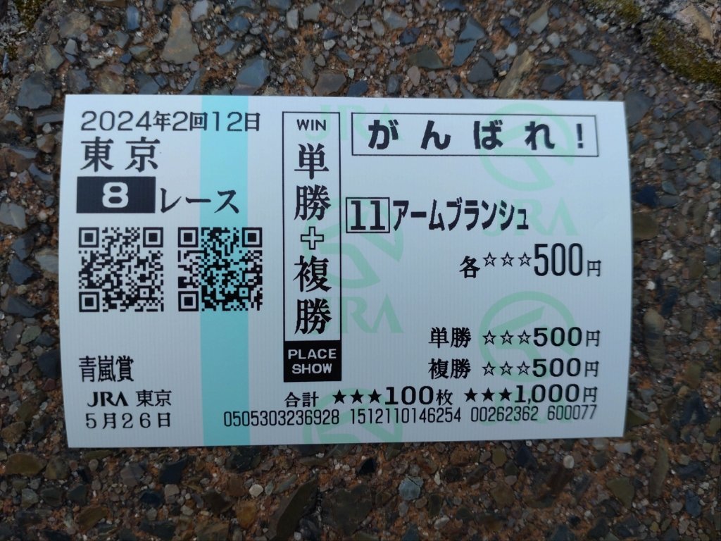 東京　第8レース　青嵐賞 豊騎手が頑張ってくれました 多くの馬が芝コースで戻って来るのに、ダートコースで戻らなくても…