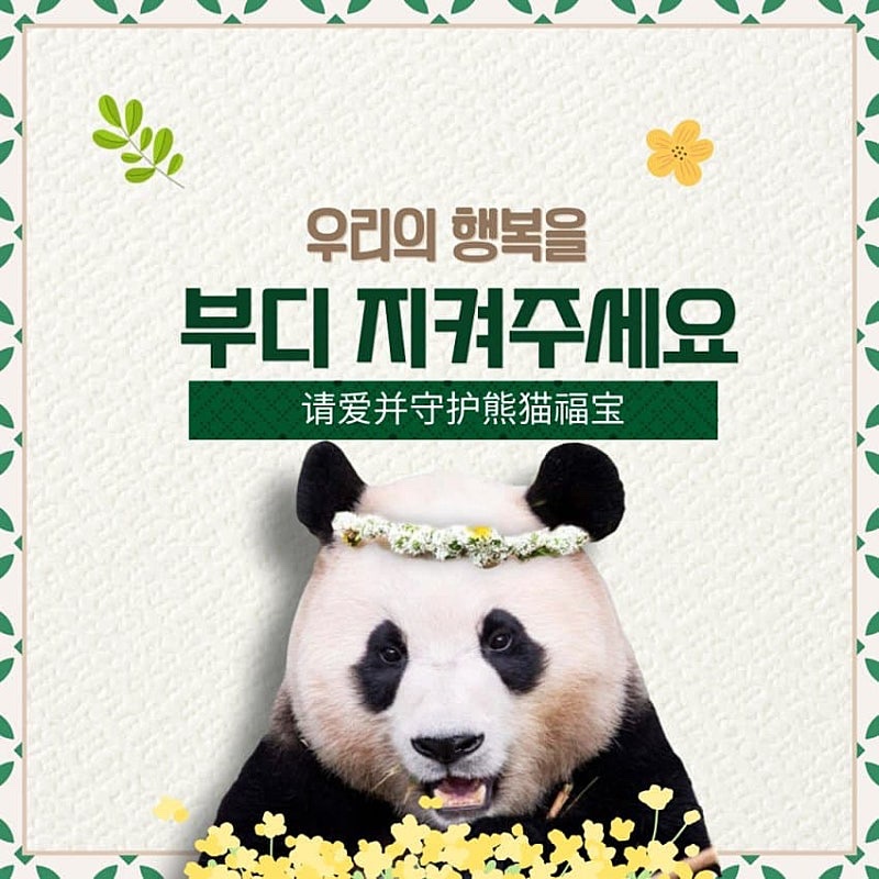 aamehanjan's tweet photo. #SaveFubao #fubao #panda #savetheanimal #WWF
푸바오 서명운동 참여해주세요
부탁드려요
https://t.co/Sf2EAz7QXV https://t.co/I7fqwXxYYH
