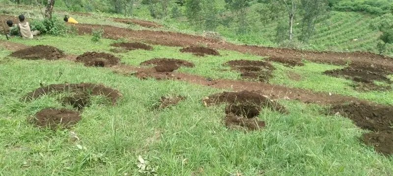 #Ethiopia: Preparations in full swing for upcoming Green Legacy planting season - PM Abiy 🍃✔️ fanabc.com/english/prepar…