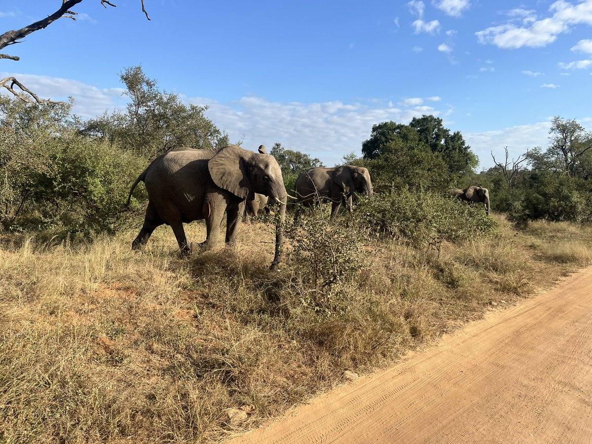 Returning from the annual #ICN meeting hosted by  <a href="/thegreencape/">GreenCape</a> #SouthAfrica. It’s all about accelerating implementation of #Cleantech by global collaborating clusters. 
#watertech #sustainability #innovation <a href="/WaterAllianceNL/">Water Alliance</a>