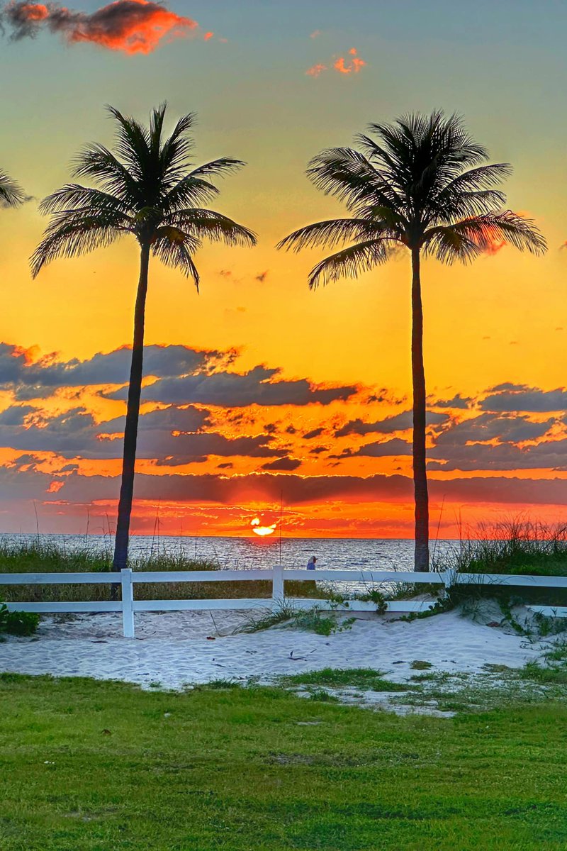 arubabeachcafe's tweet image. It's Sunday Funday! 📷 Enjoy a relaxing brunch w/ocean breeze, island music, tasty lunch, and the sun 📷 is shining! 📷📷#memorialdayweekend #open10am #steeldrums #livemusic #lauderdalebythesea #onehappyrestaurant #arubabeachcafe