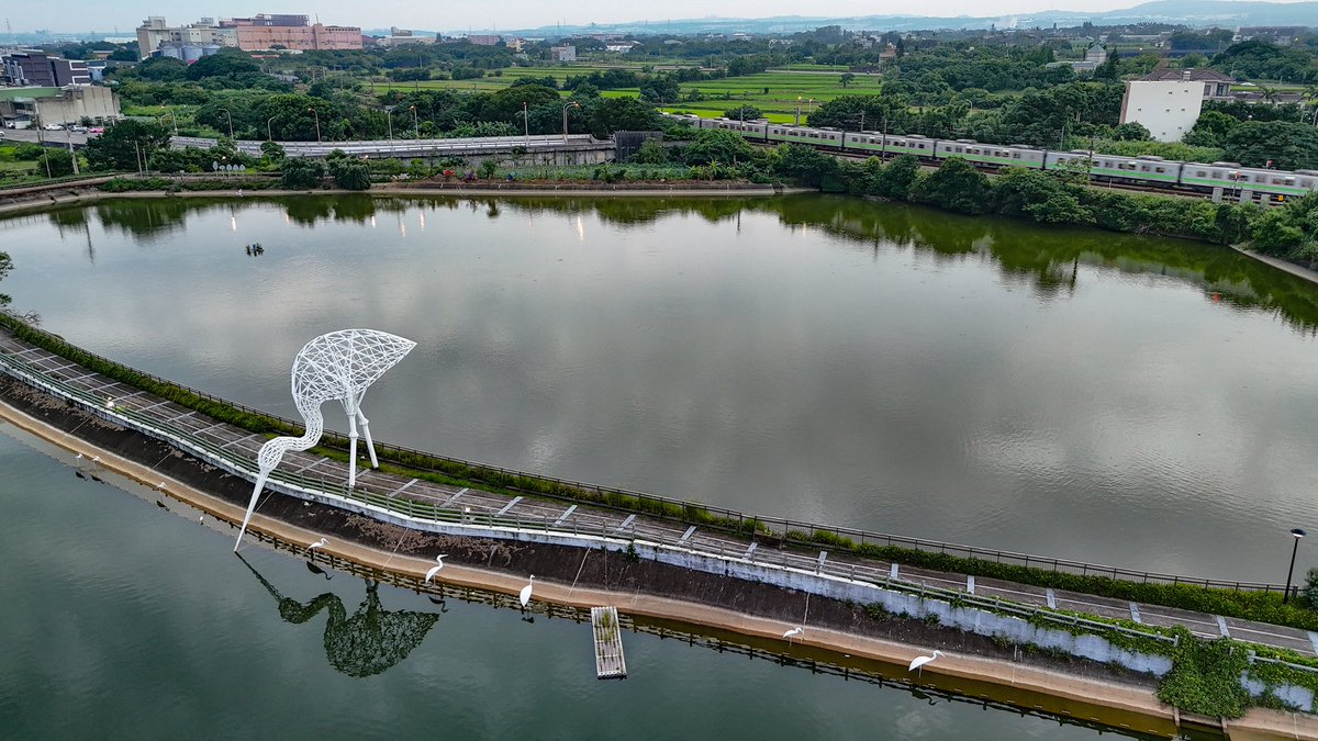 Aerial view from the white egret statue at Sanlian Pond near Fugang Old Street. Here you can enjoy the wildlife, fish ponds, sunset and views of the train going by. #白鷺 #鷺鷥 #富岡 #桃園 #空拍