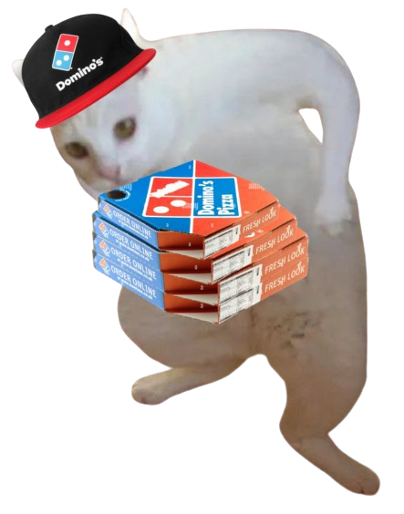 Goofy Cat tweet media