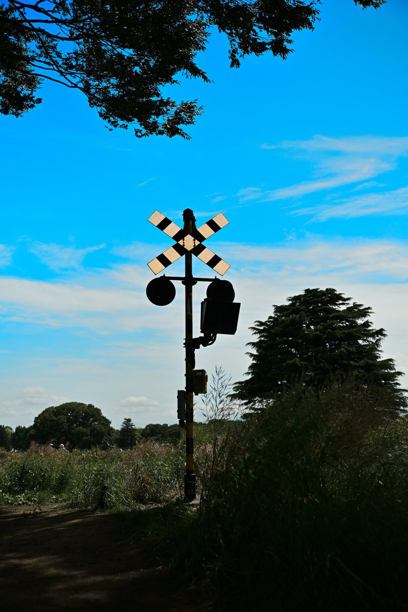 #昭和記念公園
#踏切
#JRコラボ
#zf
#写真好きな人と繋がりたい #写真を撮るのが好きな人と繋がりたい #写真 #photo