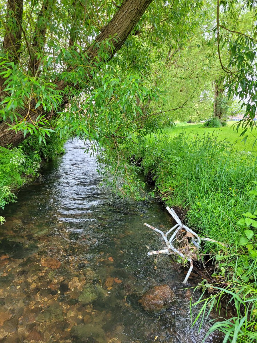 18 Bags, 6 Shopping Trollies, cabling, paddling pool, soiled clothing, play house, bikes and scooters on this morning's Group Pick along the River Gwenfro. 8 WLPs this morning. Thanks all, see you in two weeks time! #Wrexham #cleanrivers #community