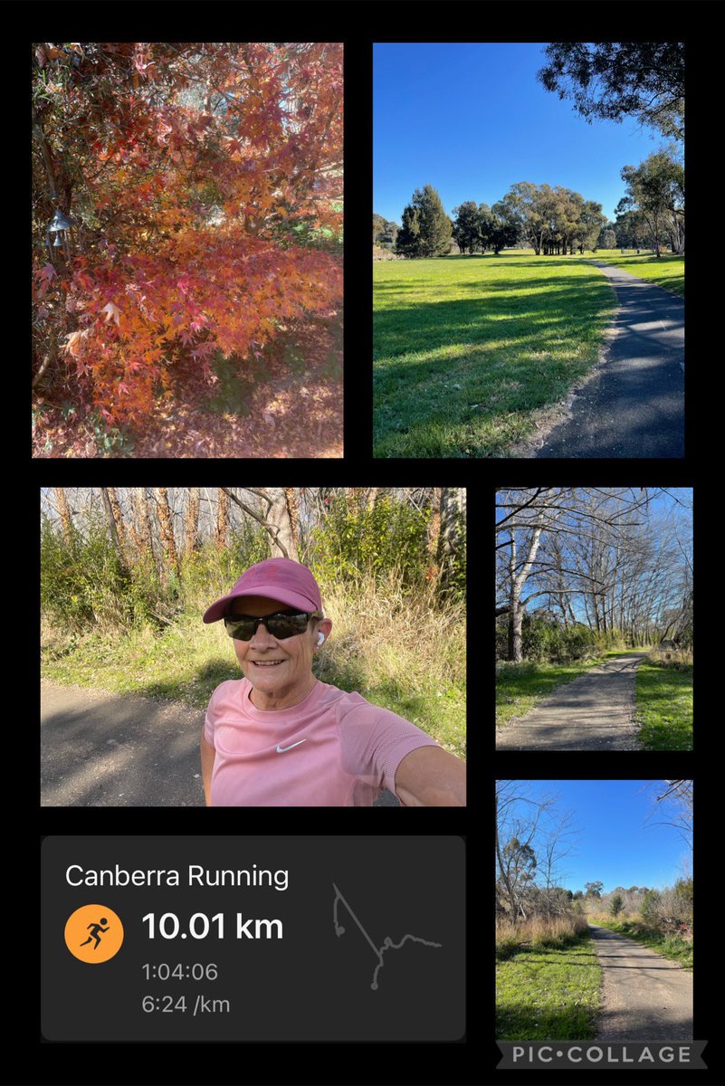 Cathy 🦉 tweet media